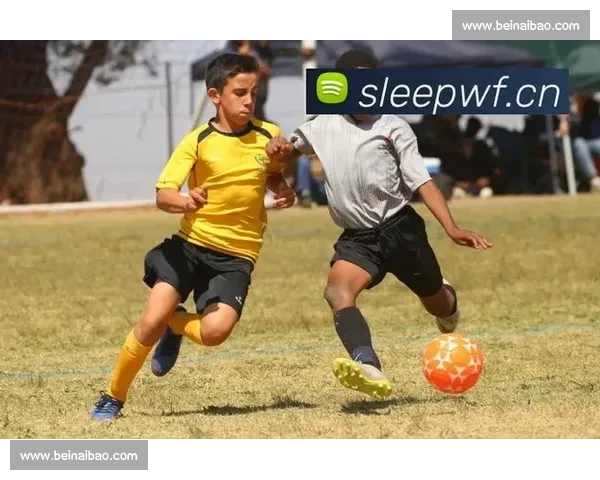 打造全球球迷首选的高清足球比赛直播互动平台与即时数据分析服务